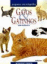 Gatos e Gatinhos_0
