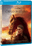 Cavalo de Guerra_0