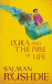 Luka and the Fire of Life_0