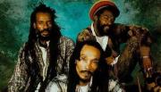 Israel Vibration