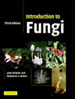 Introduction to fungi