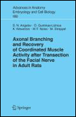 Axonal branching and recovery of coordinated muscle activity