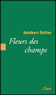 Fleurs des champs