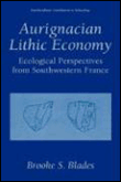 Aurignacian lithic economy