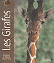 Les girafes