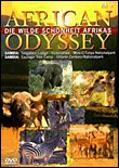 African Odyssey - Volume 4