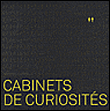 Cabinets de curiosités - Jennifer Hudson - broché