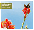 Fruehlingsstimmen