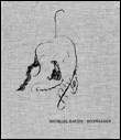 Michael Bauer : Borwasser