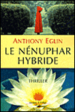Le nénuphar hybride