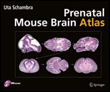 Atlas of the prenatal mouse brain