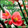Beautiful rain