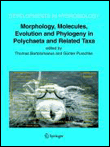Morphology, molecules, evolution and phylogeny in polychaeta