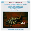 Horn concerti
