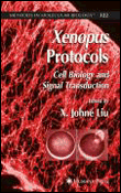 Xenopus protocols