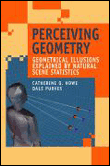 Perceiving geometry