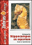 Hippocampes en aquarium