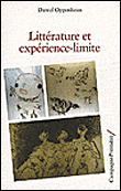 Littérature et expérience-limite