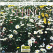 Classic For All Seasons-Spring