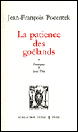 La patience des Goélands