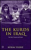 Kurds in iraq