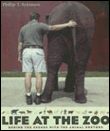Life at the zoo