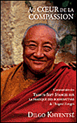 Au coeur de la compassion