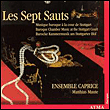 Les 7 sauts