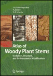 Atlas of woody plant stems