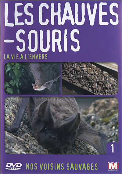 Volume 1 - Les Chauves souris, la vie à l'envers