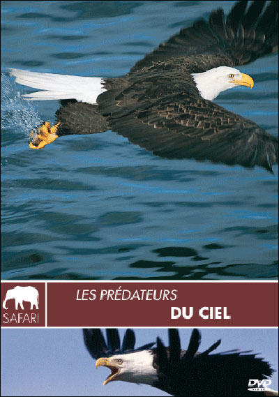 Les Prédateurs du ciel - Collection safari