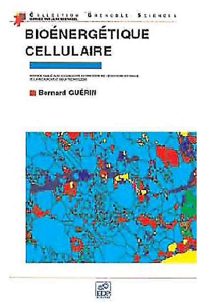 Bioénergétique cellulaire