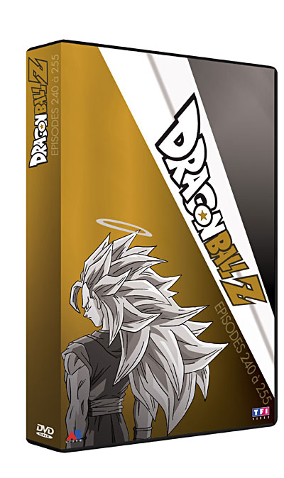 Coffret 13 - Episodes 240 à 255