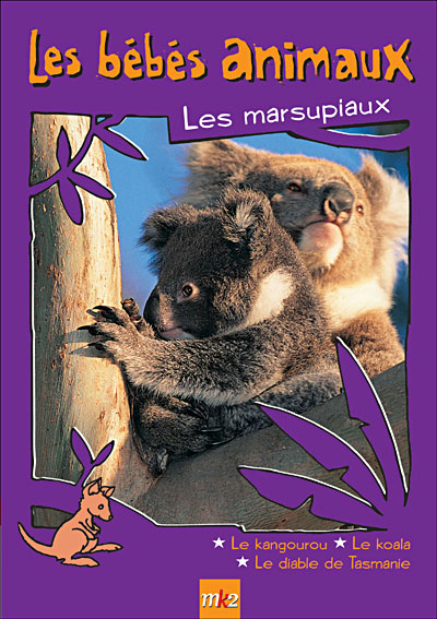 Les marsupiaux