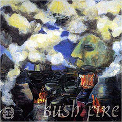 Bush fire