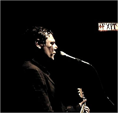 Mygale jaune/live