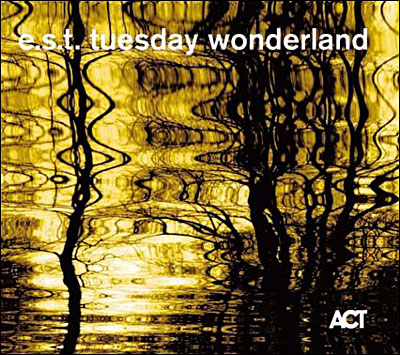 Tuesday Wonderland