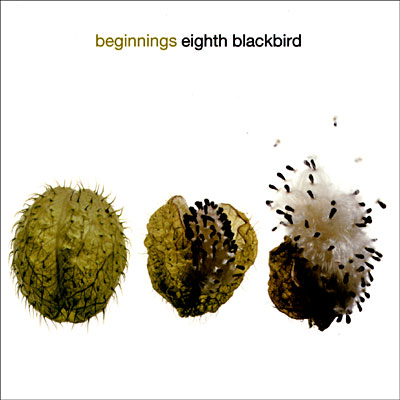 Eighth blackbird : Beginnings