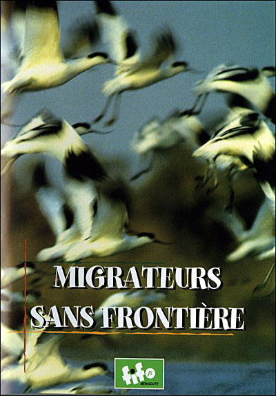 Migrateurs sans frontières