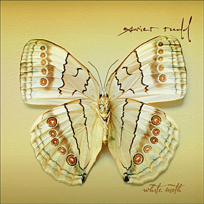 White moth
