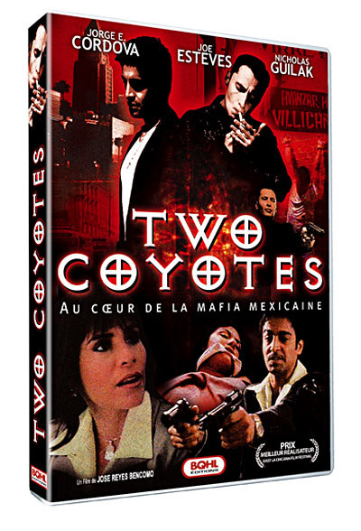 Two coyotes