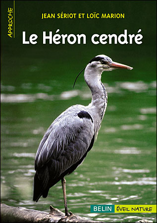Le Héron cendré