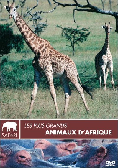 Les Plus grands animaux d'Afrique - Collection safari
