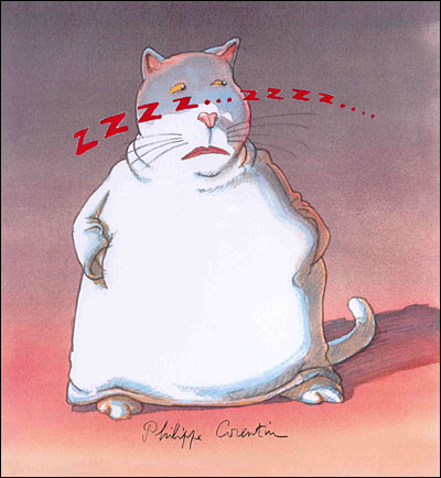 Zzzz Zzzz