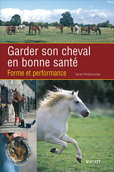 Garder son cheval en bonne santé tout ce qu'il faut savoir pour maintenir leurs dos, jambes et dents en bonne santé