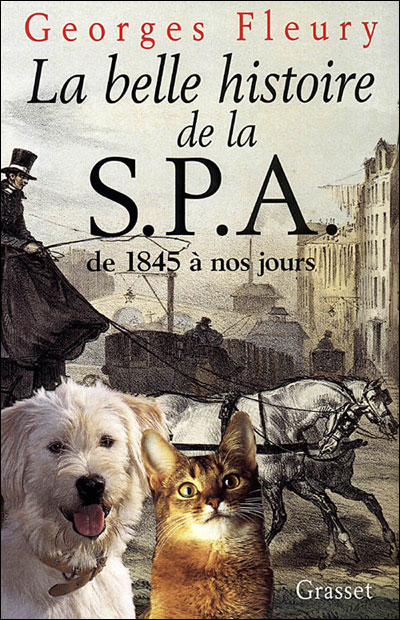 La belle histoire de la spa