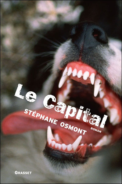 Le capital