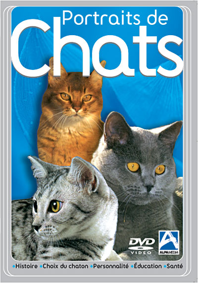 Portraits de chats