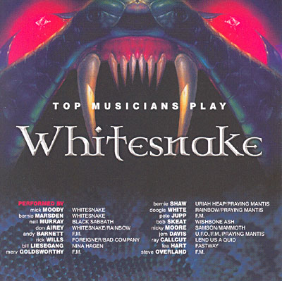 Top musicians play Whitesnake