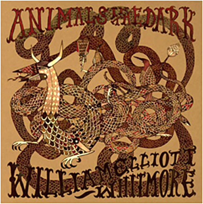 Animals in the dark